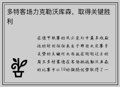 多特客场力克勒沃库森，取得关键胜利